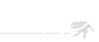 Action Landscaping